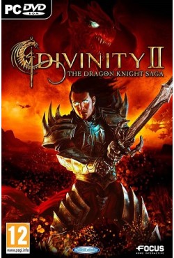 Divinity 2: The Dragon Knight Saga - скачать торрент