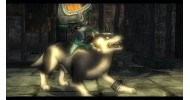 The Legend of Zelda Twilight Princess HD - скачать торрент