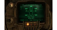 Fallout 3 New Vegas - скачать торрент
