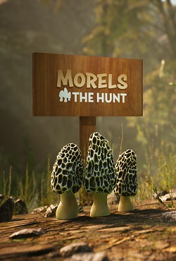 Morels The Hunt - скачать торрент