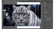 Adobe Illustrator 2020 - скачать торрент