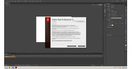 Adobe Flash Professional - скачать торрент