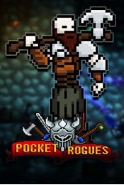 Pocket Rogues